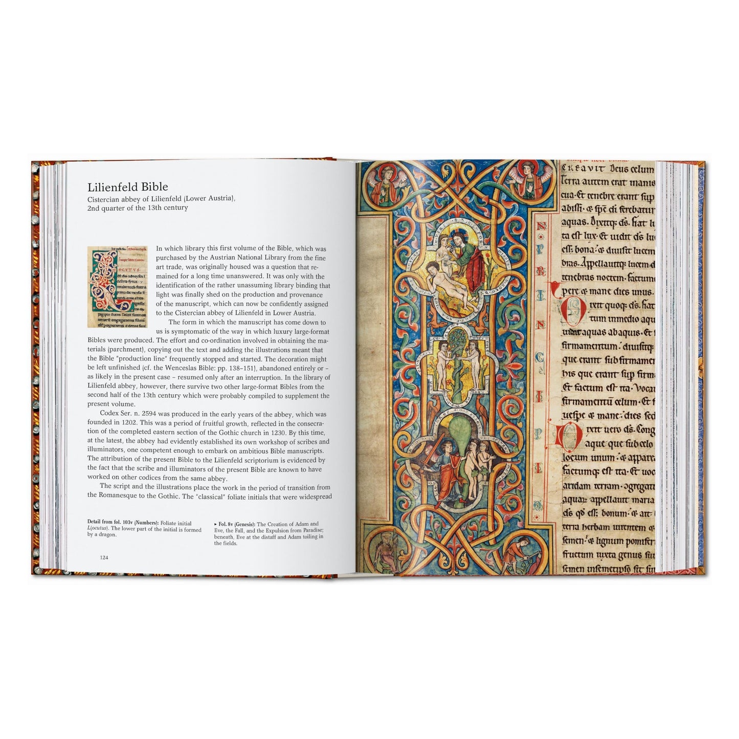 The Book of Bibles. 45th Ed. (English) Book