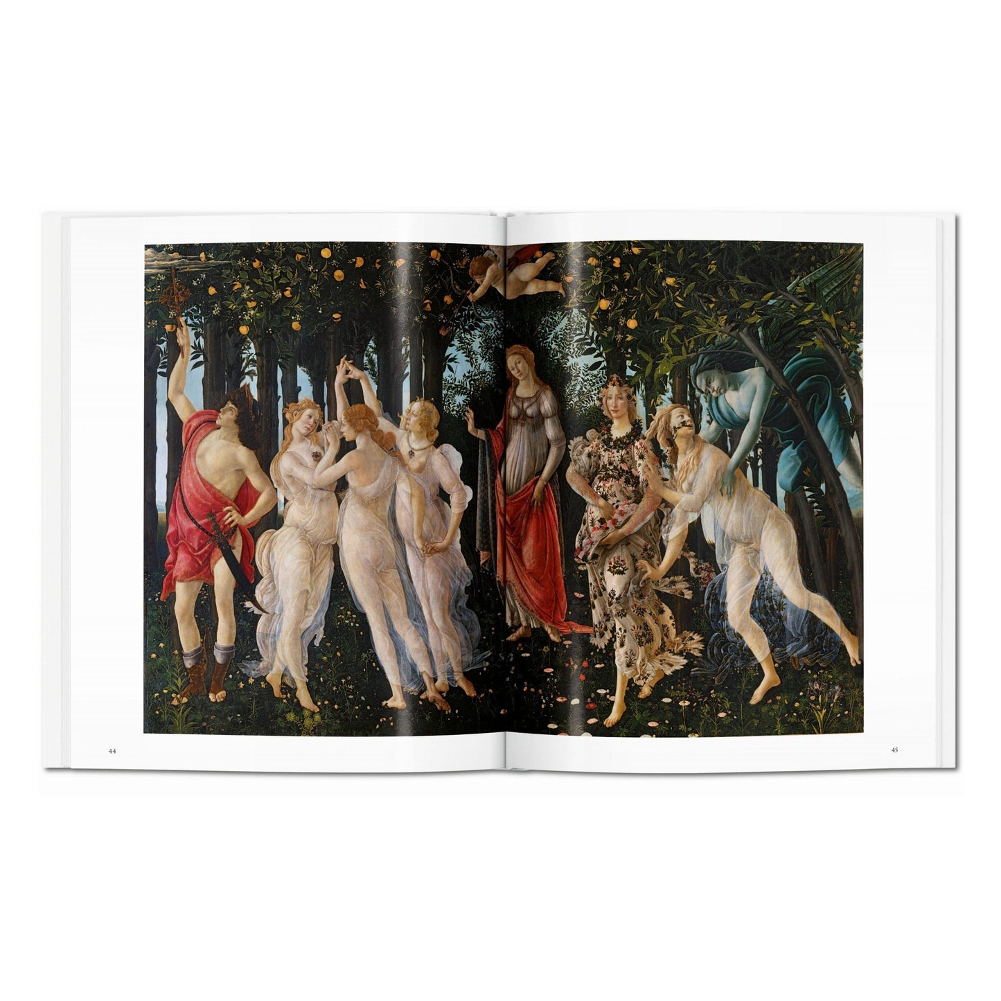 Botticelli (English) Book
