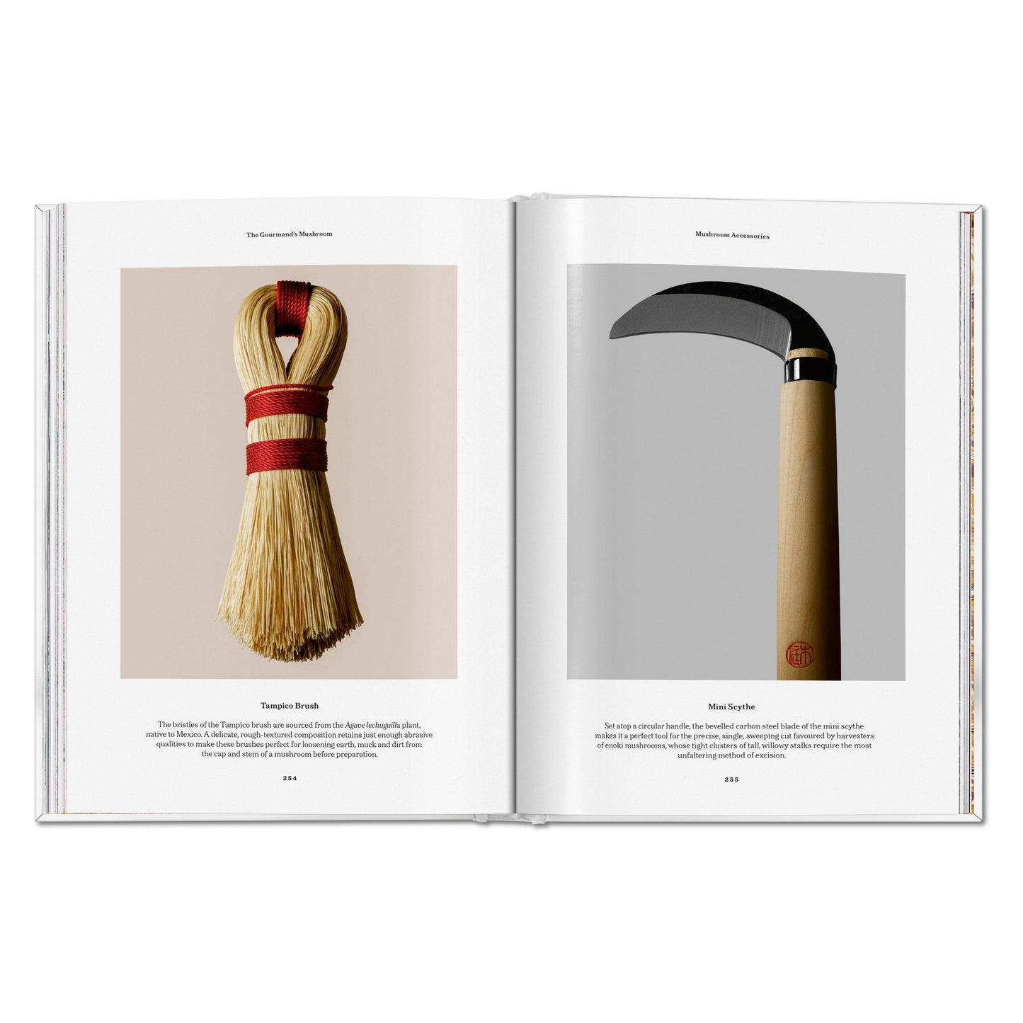 The Gourmand's Mushroom. A Collection of Stories and Recipes (English) Book