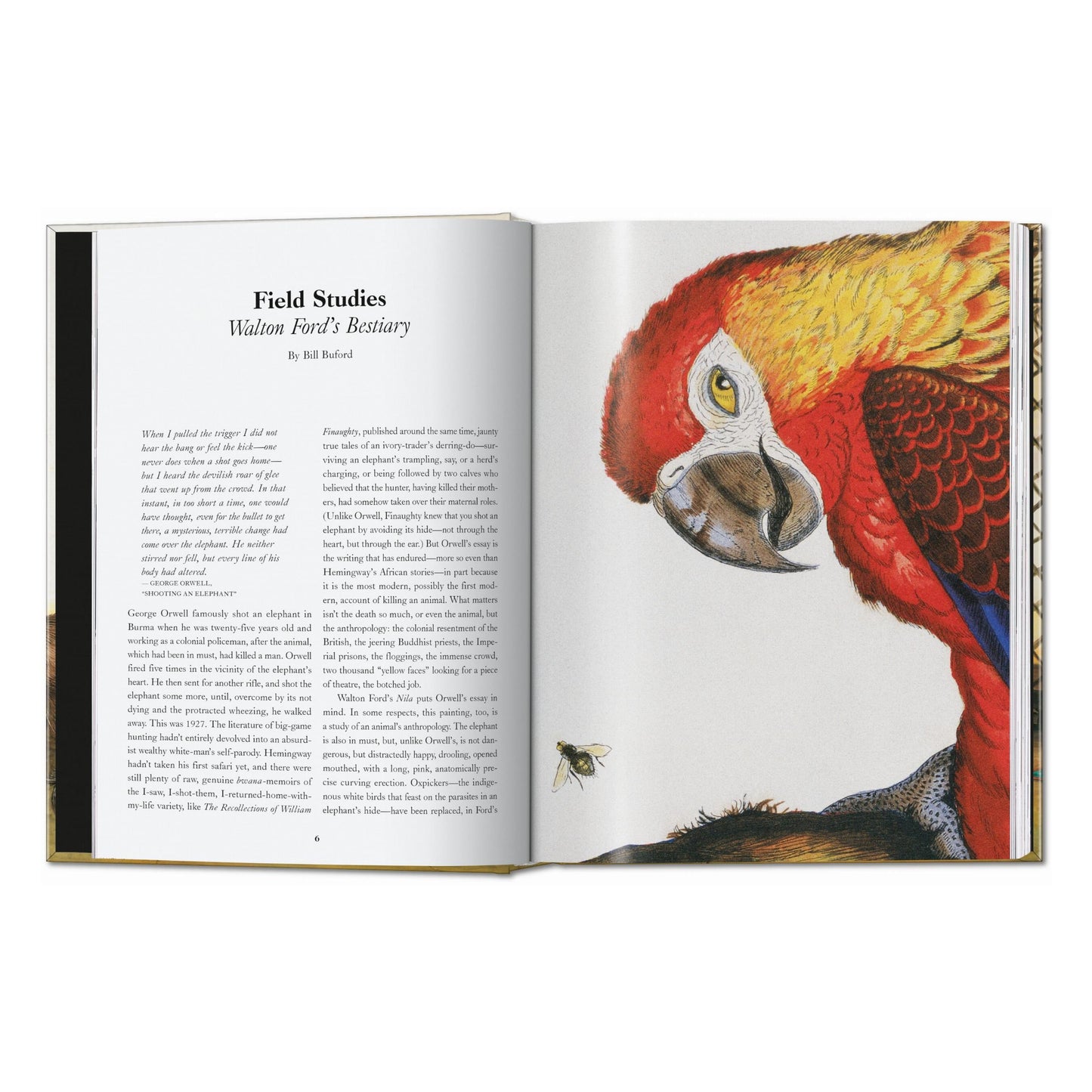 Walton Ford. 40th Ed. (German, French, English) Book