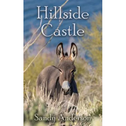 Hillside Castle