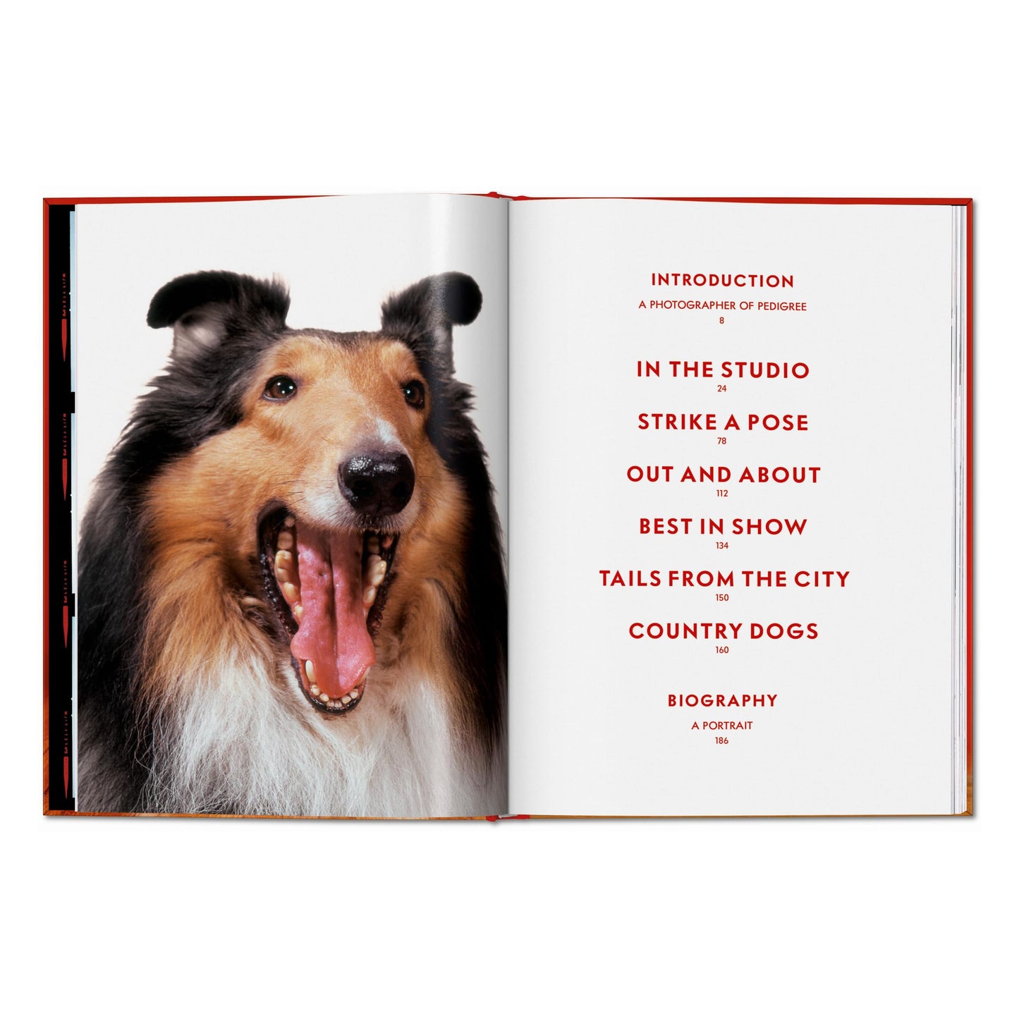 Walter Chandoha. Dogs. Photographs 1941–1991 (English) Book