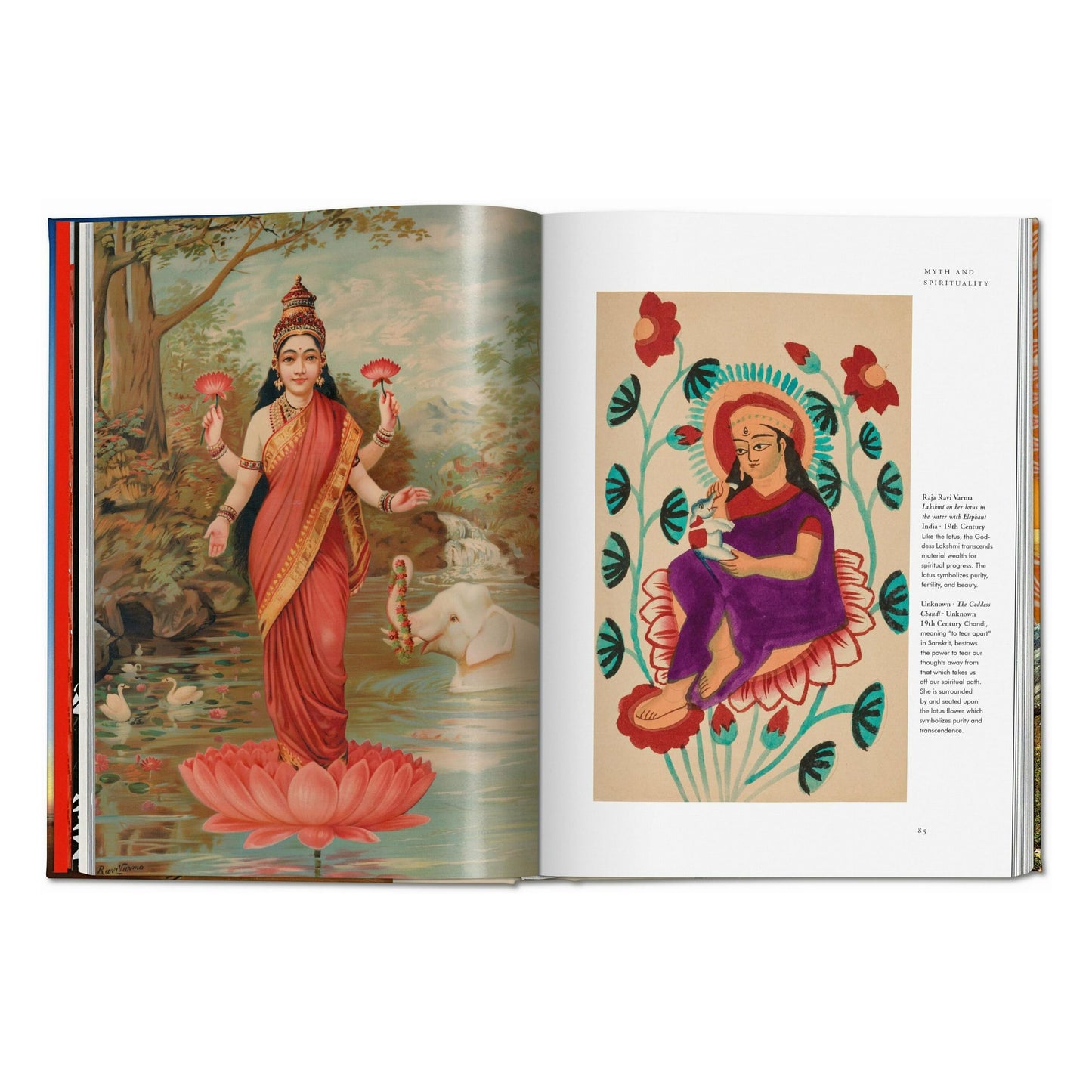 Plant Magick. The Library of Esoterica (English) Book