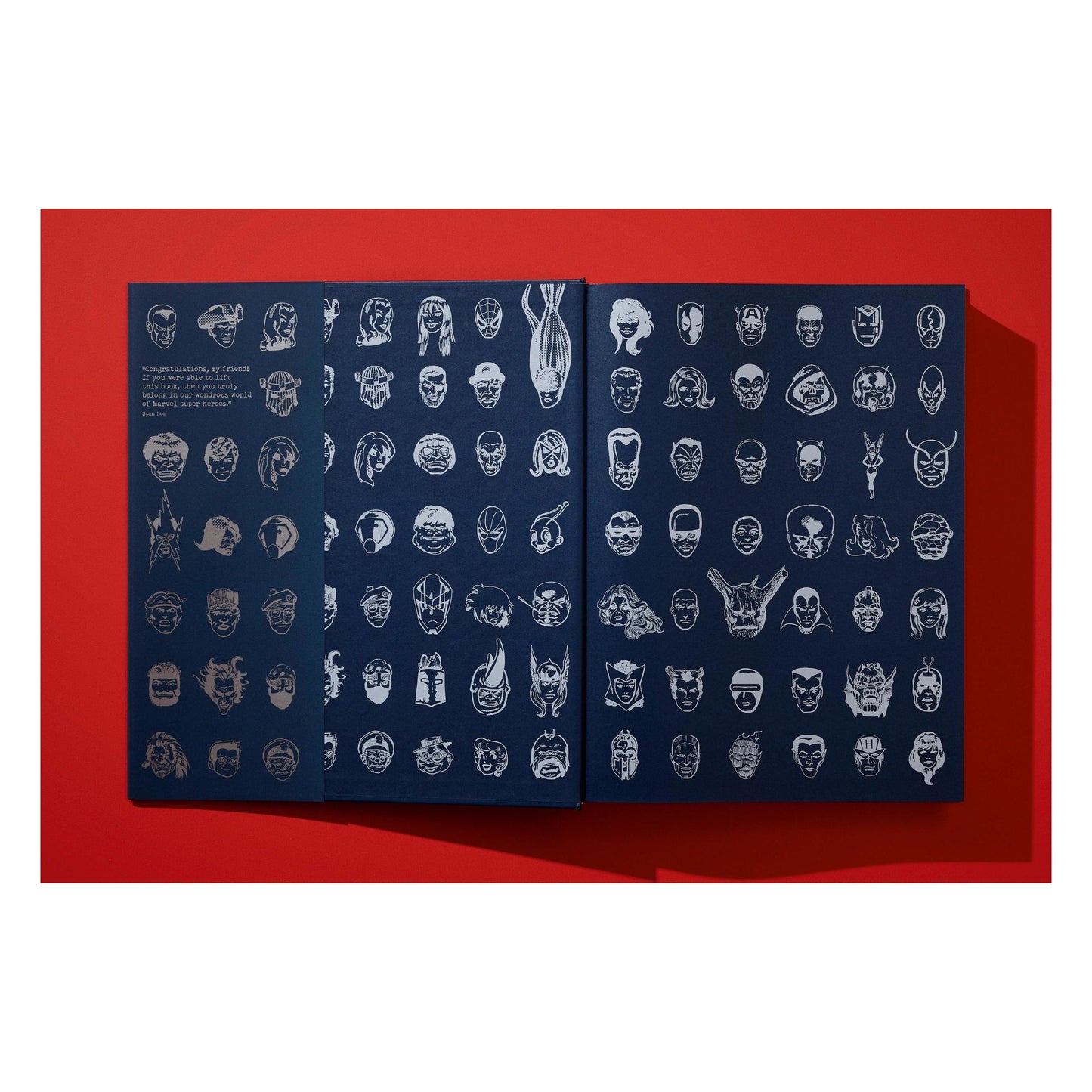 The Stan Lee Story (English) Book