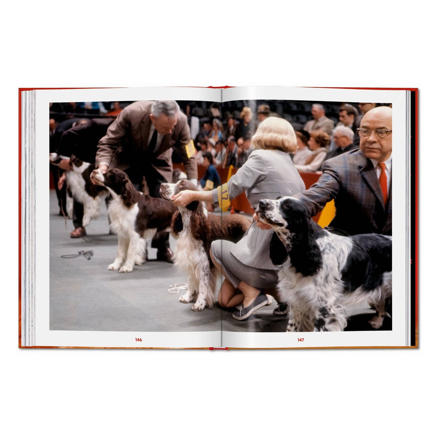 Walter Chandoha. Dogs. Photographs 1941–1991 (English) Book