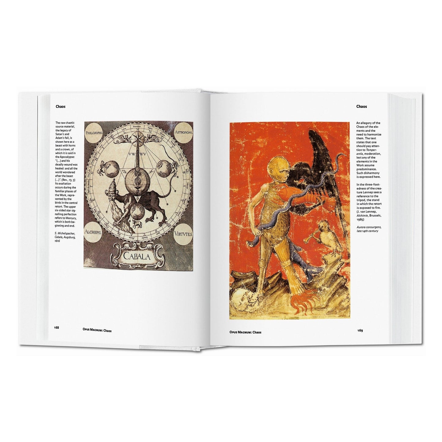 Alchemy & Mysticism (English) Book