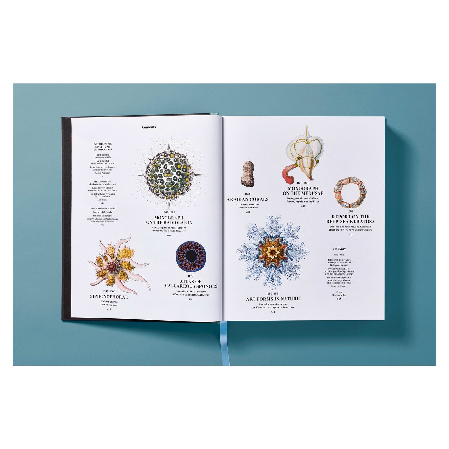 The Art and Science of Ernst Haeckel (German, French, English) Book