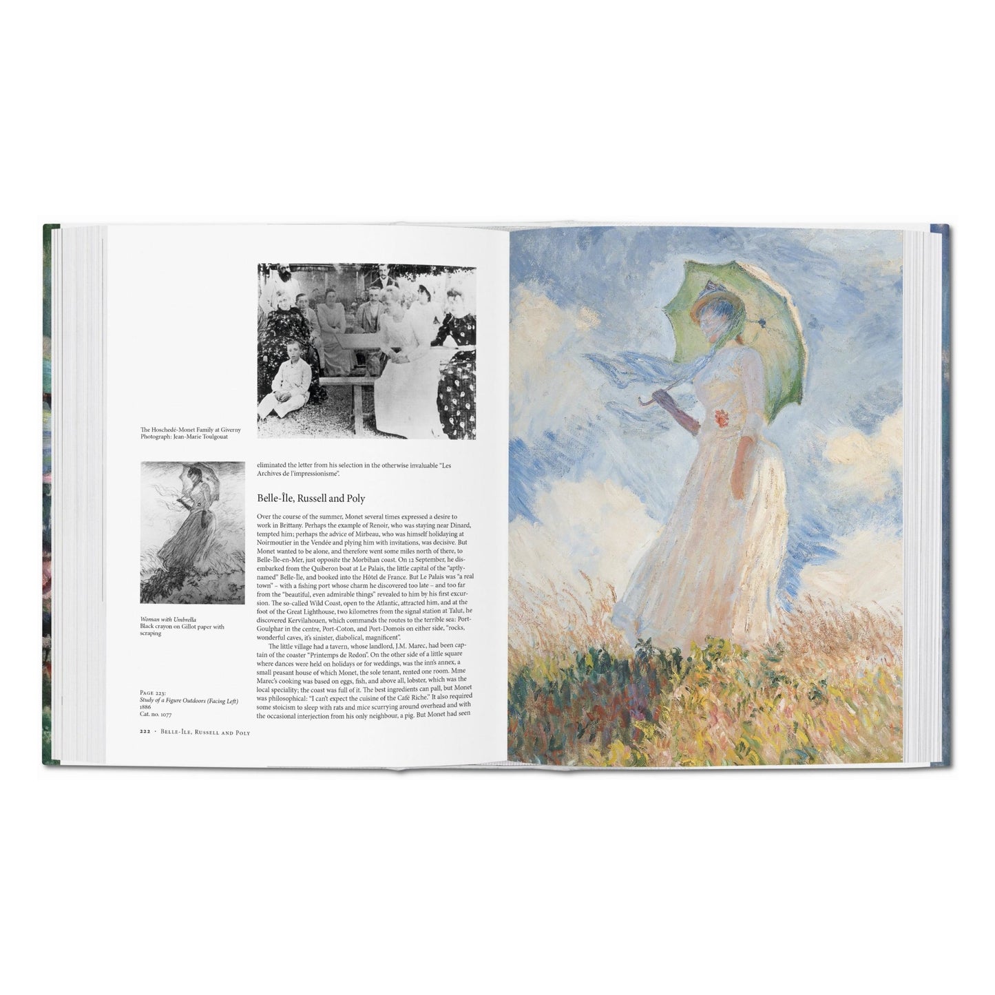 Monet. The Triumph of Impressionism (English) Book