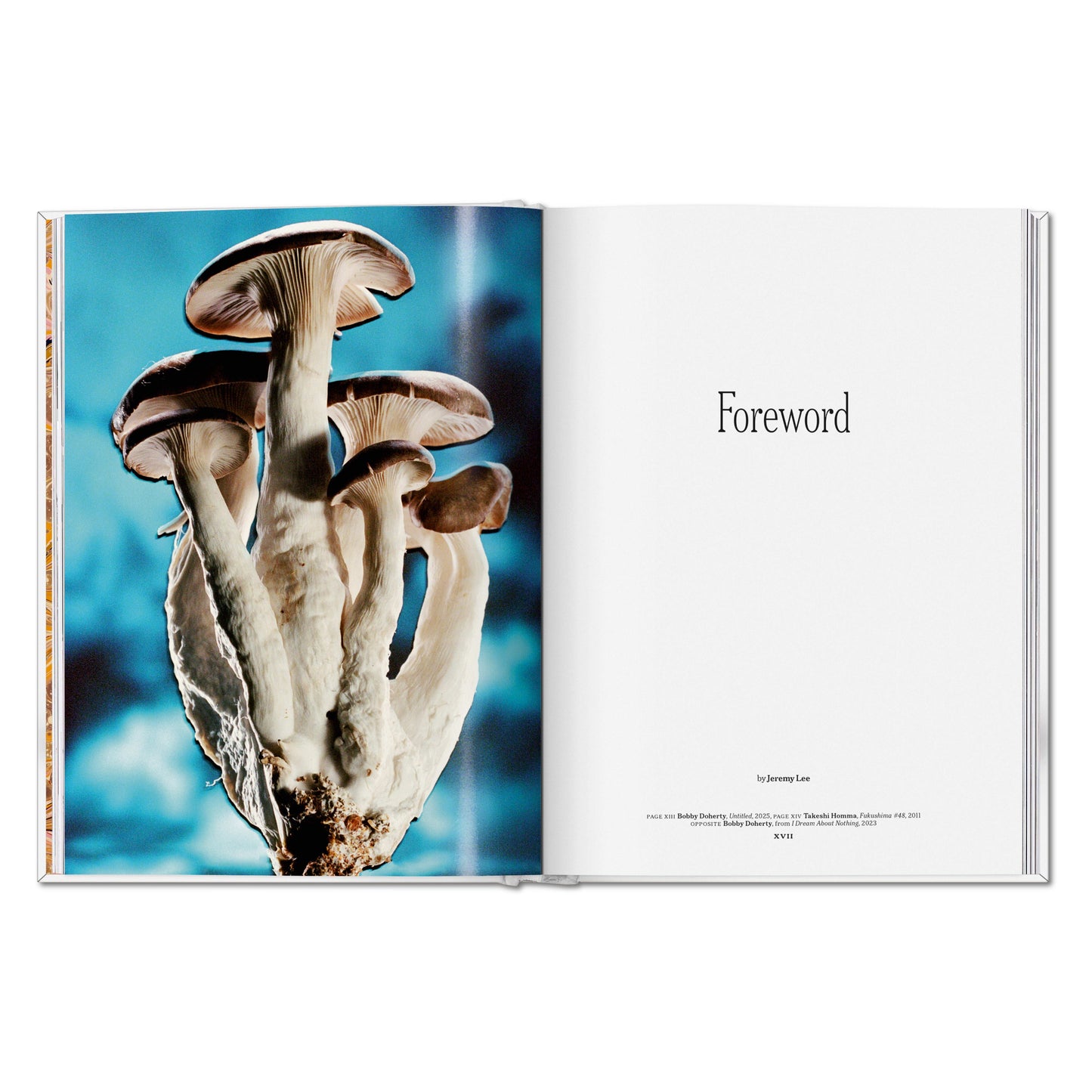 The Gourmand's Mushroom. A Collection of Stories and Recipes (English) Book