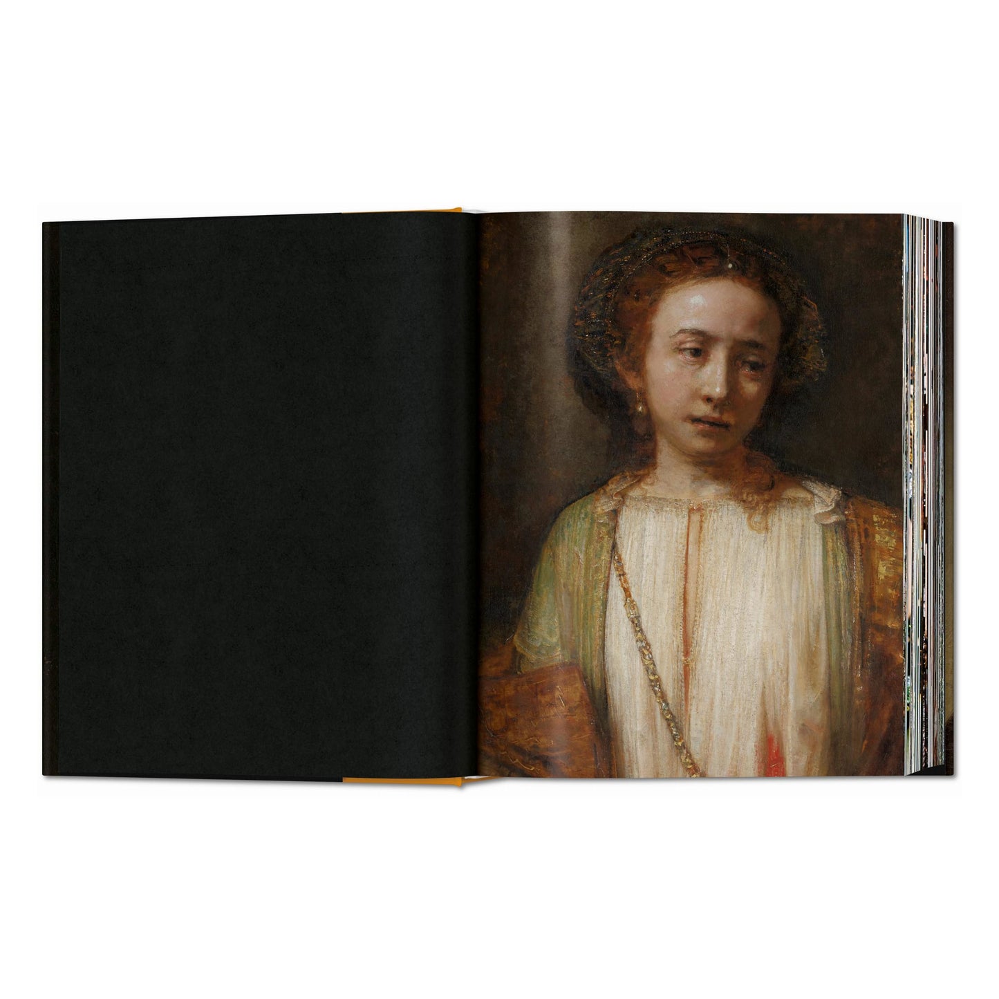Rembrandt. The Complete Paintings (English) Book