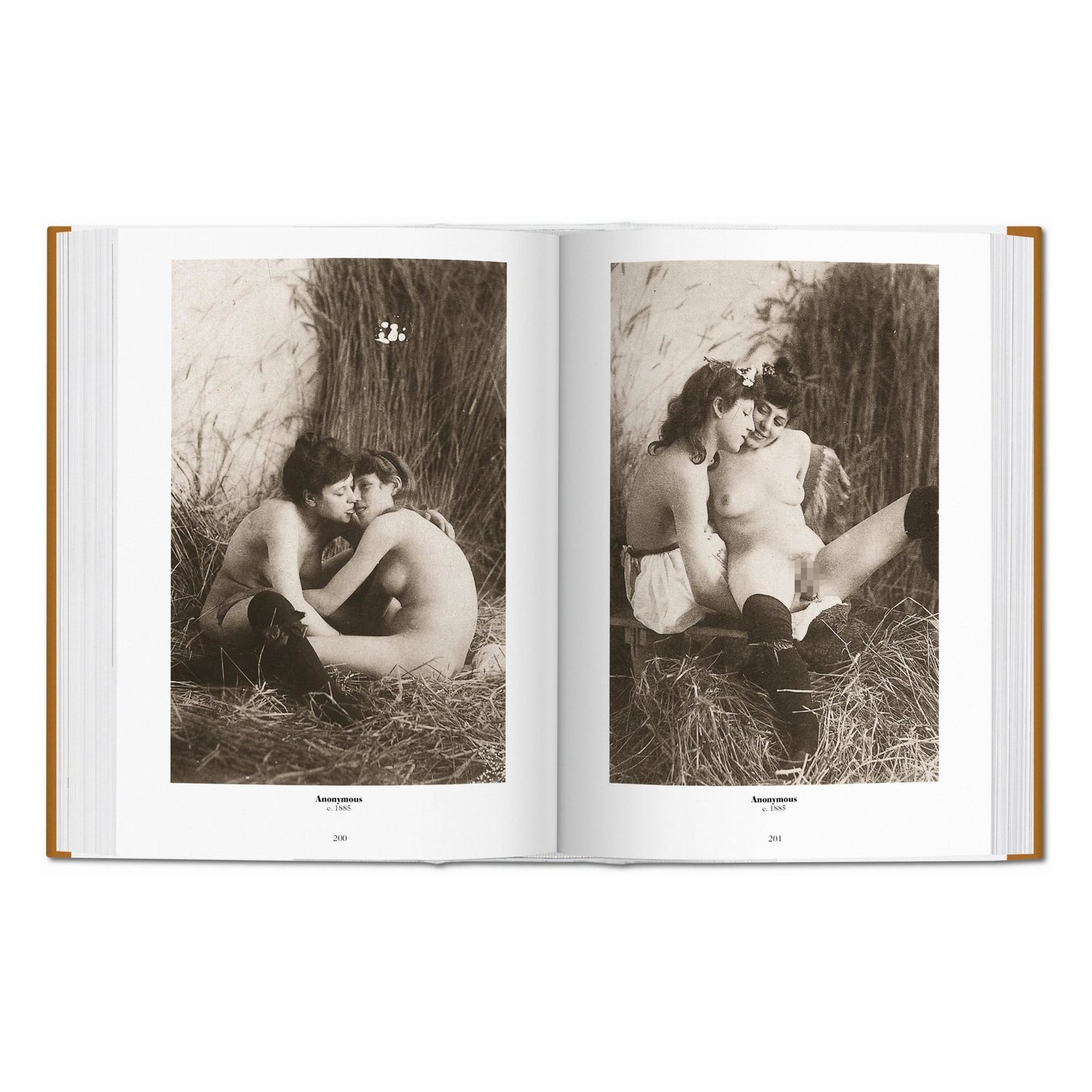 1000 Nudes. A History of Erotic Photography from 1839-1939 (German, French, English) Book