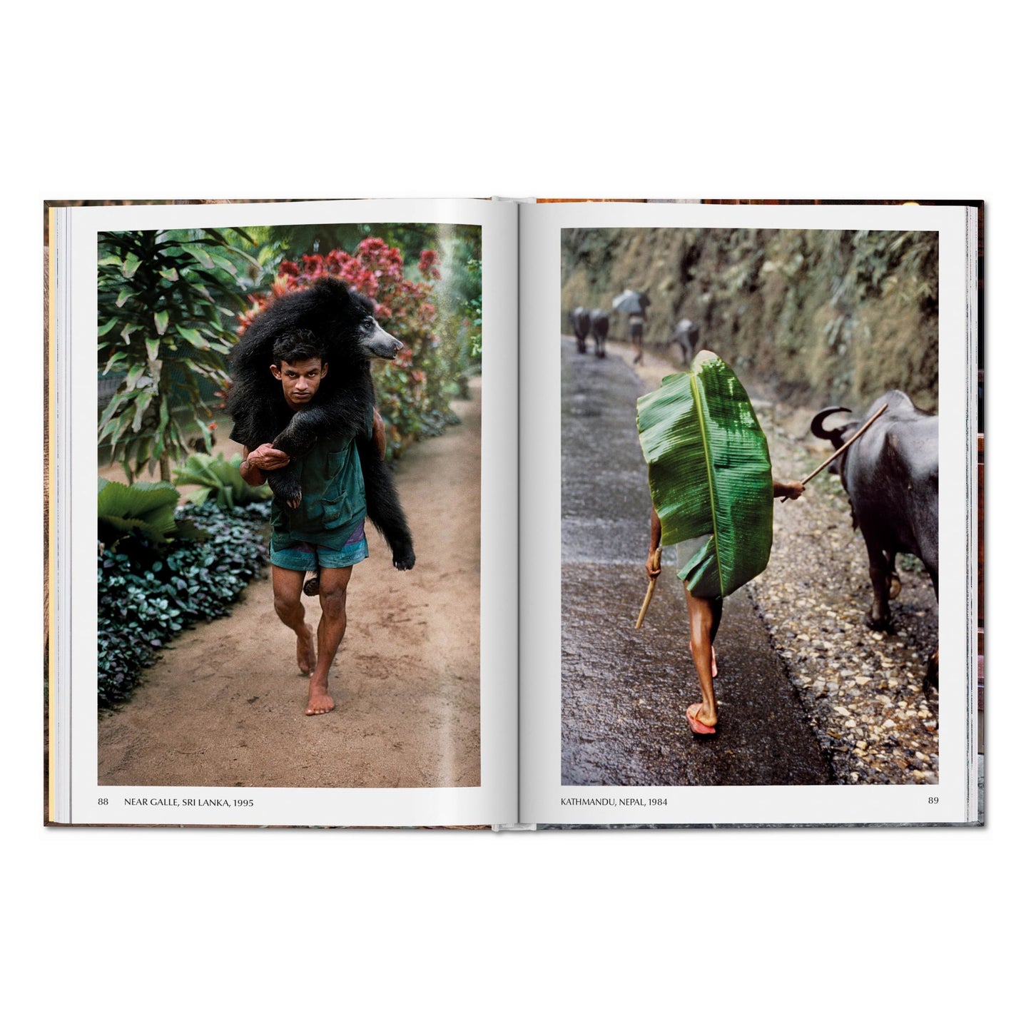Steve McCurry. Animals (English) Book