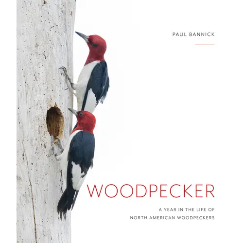 Woodpecker: A Year in the Life of North American Woodpeckers