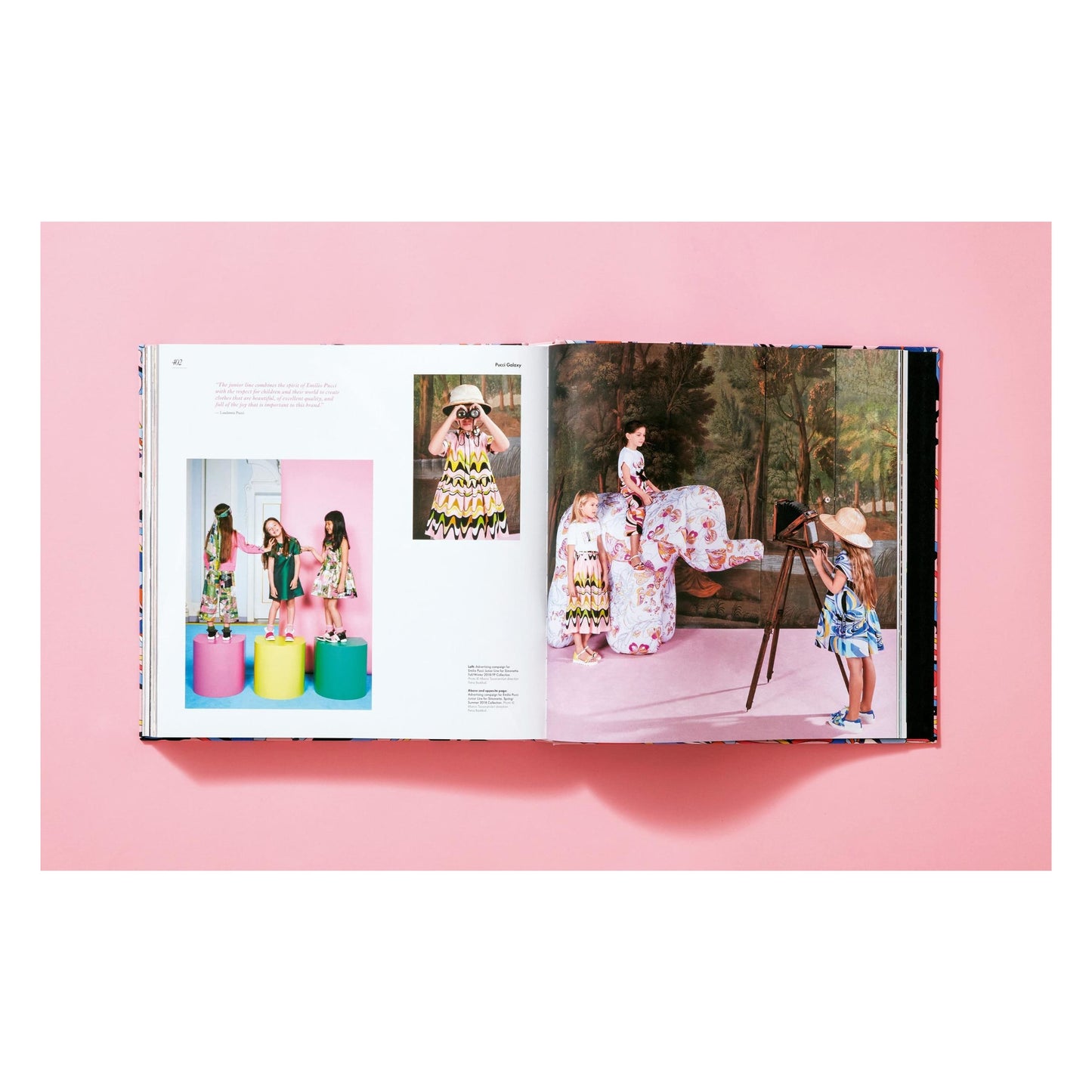 Pucci. Updated Edition (German, French, English, Italian) Book