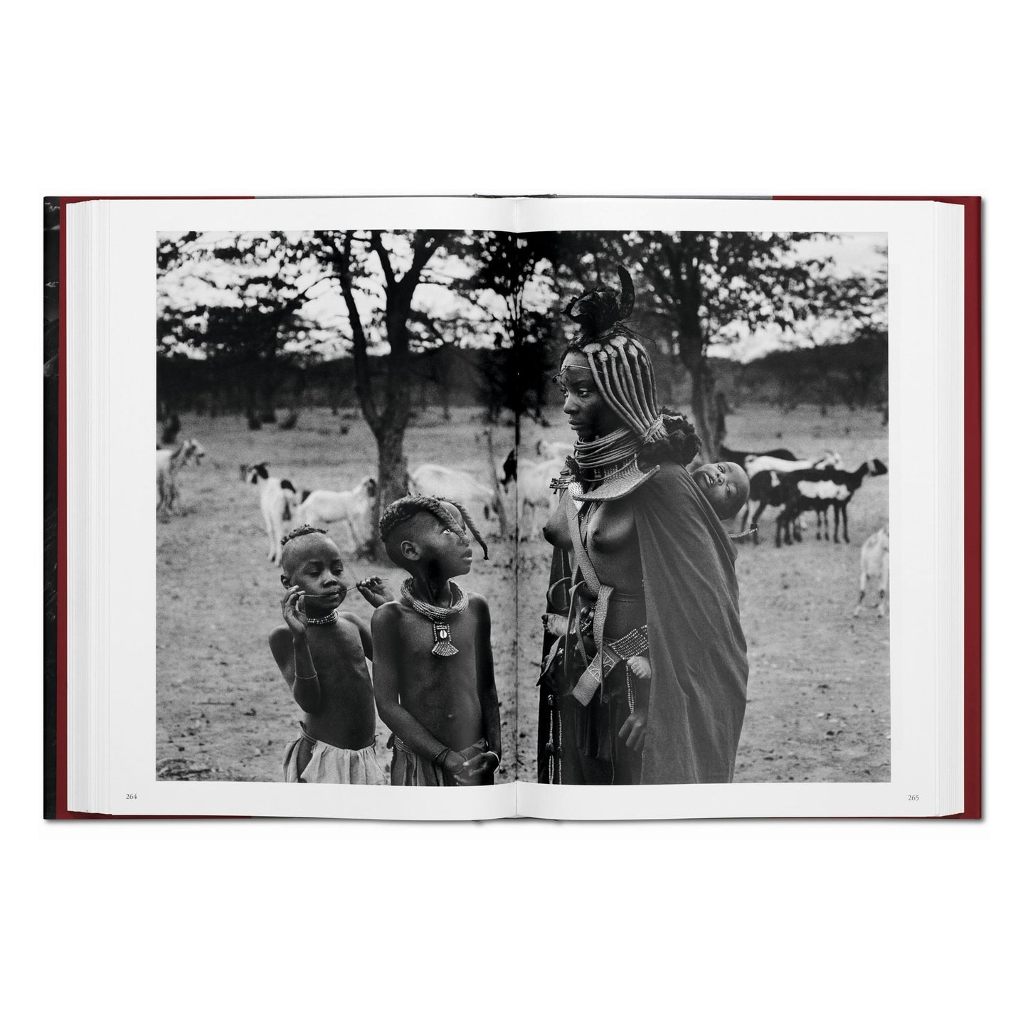 Sebastião Salgado. Genesis (English) Book