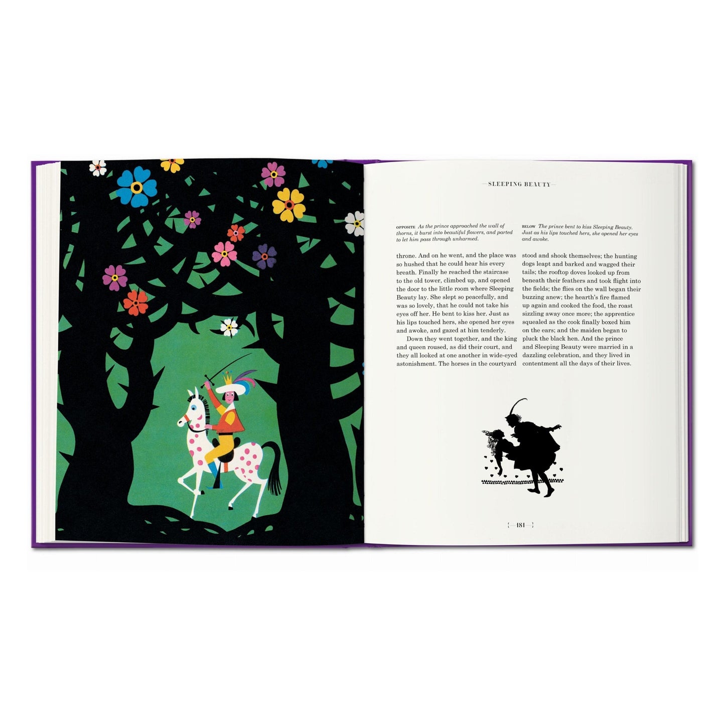 The Fairy Tales of the Brothers Grimm (English) Book