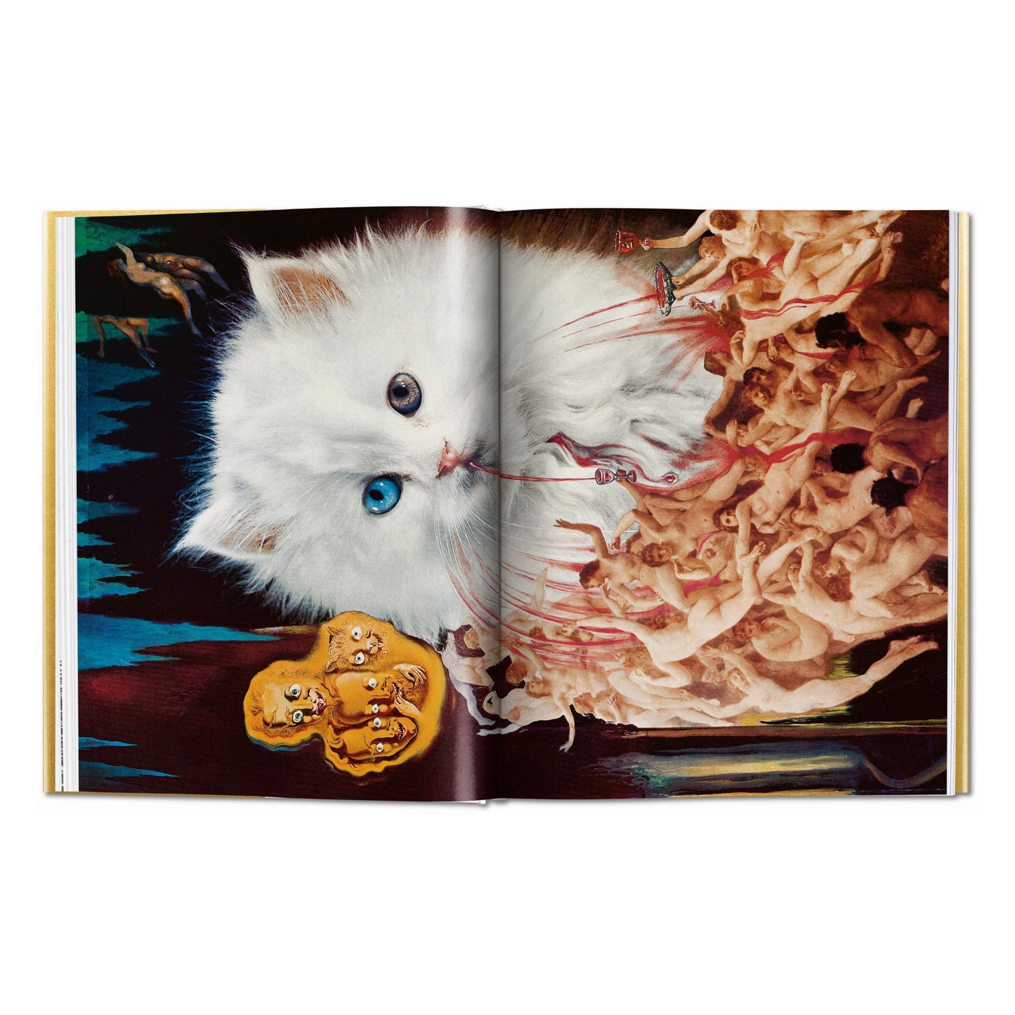 Dalí. The Wines of Gala (English) Book