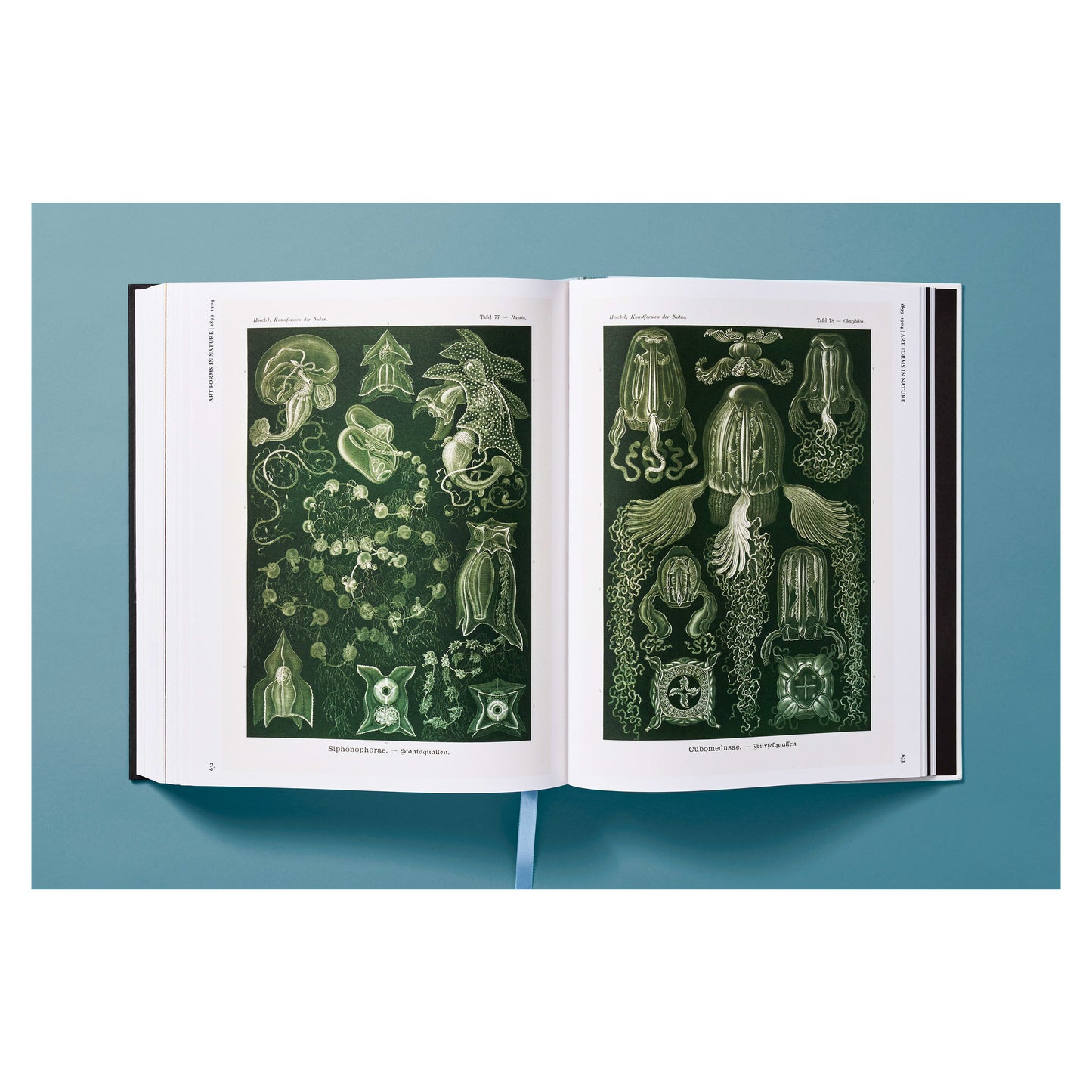 The Art and Science of Ernst Haeckel (German, French, English) Book