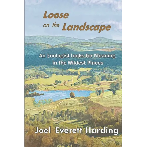 Loose on the Landscape