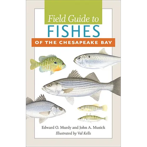 Field Guide to Fishes of the Chesapeake Bay