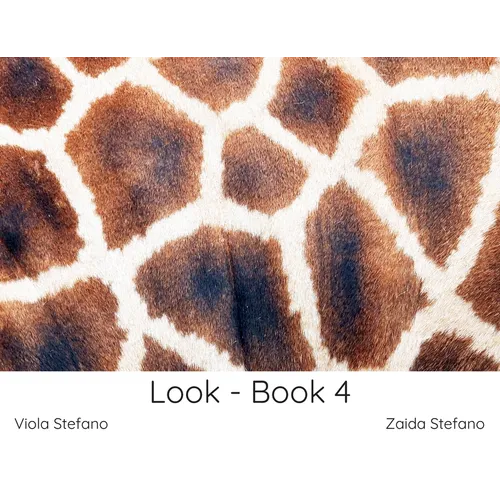 Look - Book 4