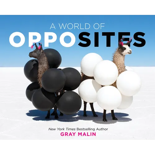 A World of Opposites: A Picture Book
