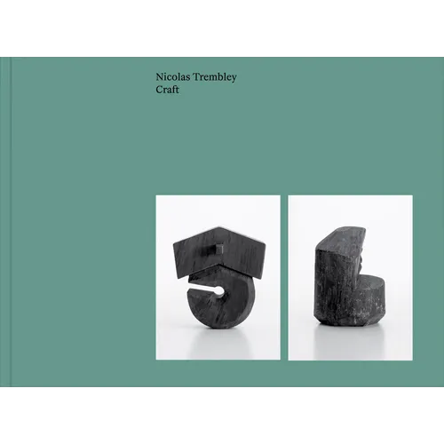 Nicolas Trembley: Craft: About Exhibitions, Craft, Art, Cultural Hierarchies, Typologies and the Art of Display. a Conversation with Véronique Bacchet
