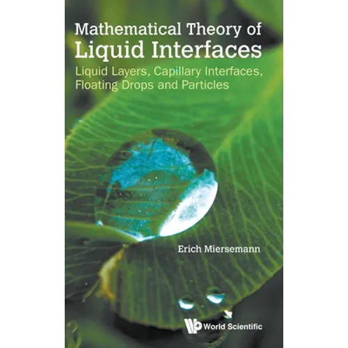 Mathematical Theory of Liquid Interfaces