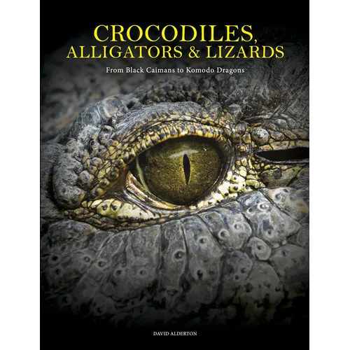 Crocodiles, Alligators & Lizards: From Black Caimans to Komodo Dragons
