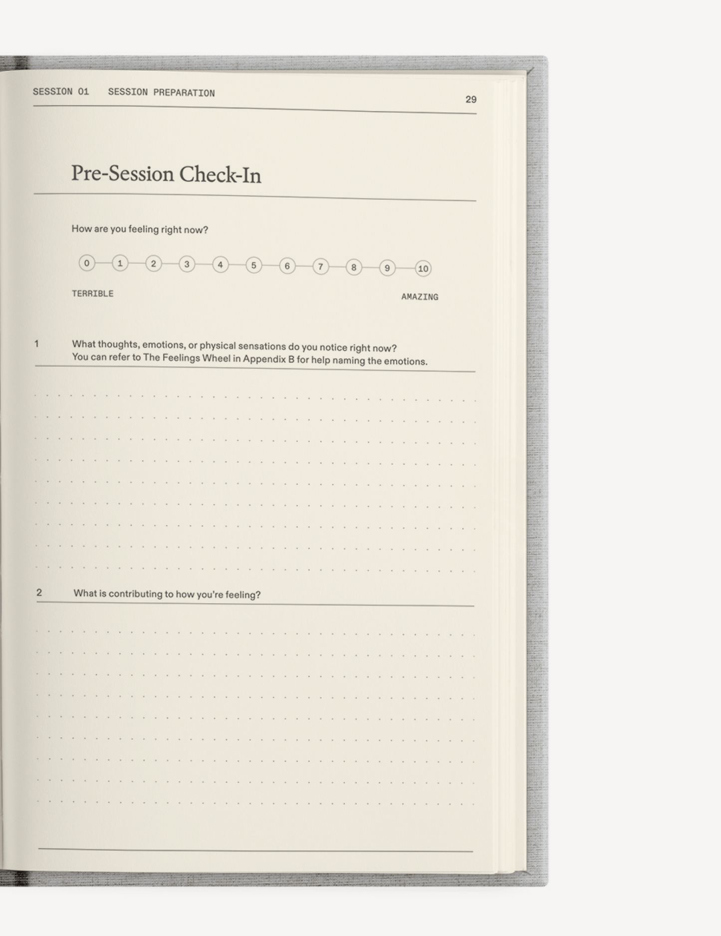 The Therapy Journal Notebook