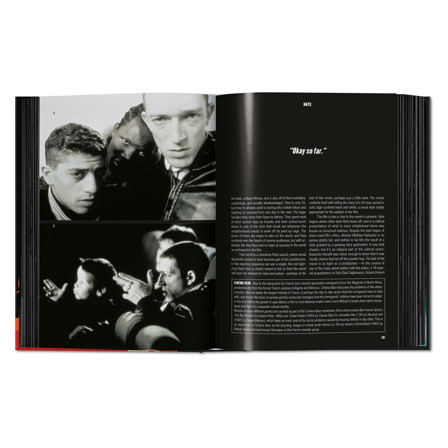 100 Movies of the 1990s (English) Book