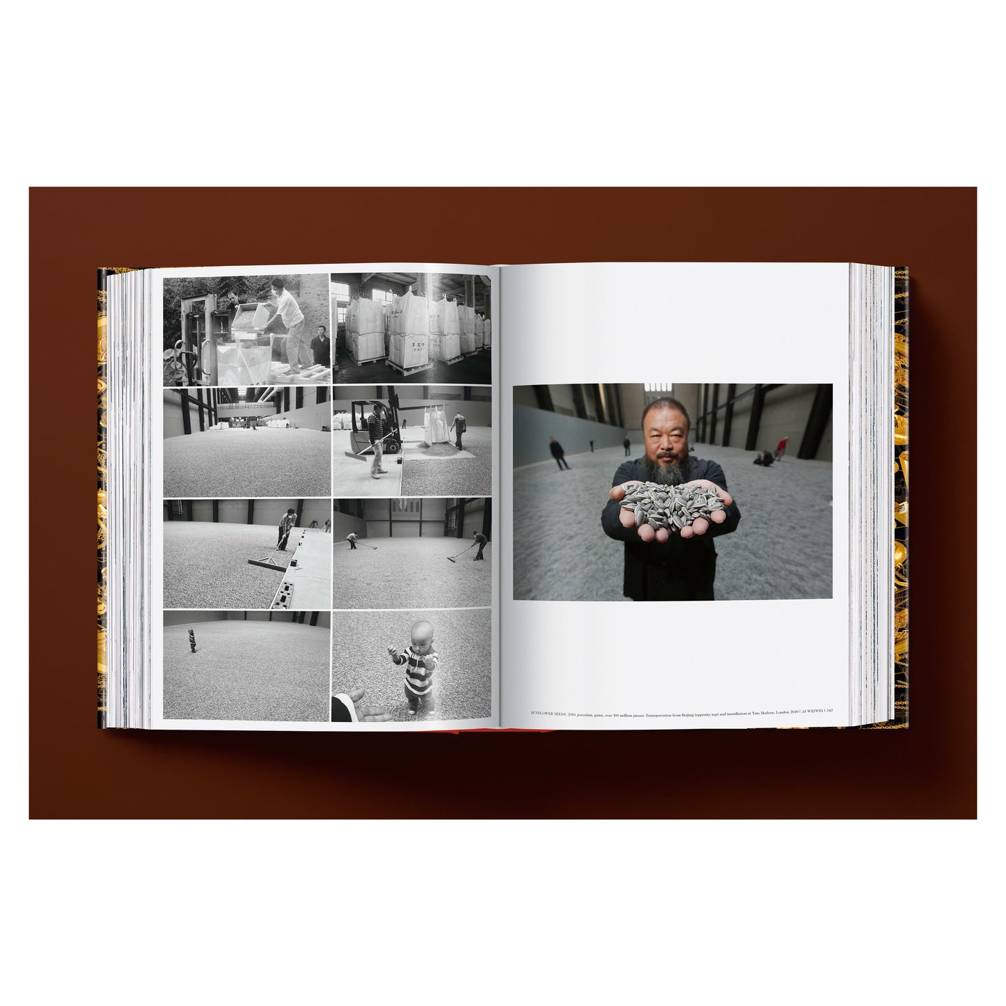 Ai Weiwei. Updated Edition (German, French, English) Book