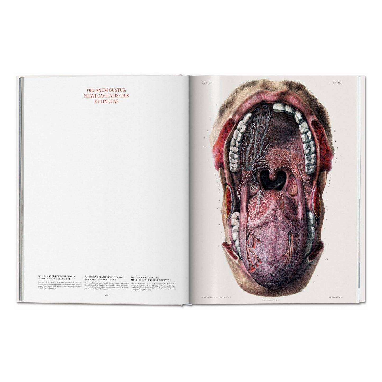Bourgery. Atlas of Human Anatomy and Surgery (German, French, English) Book