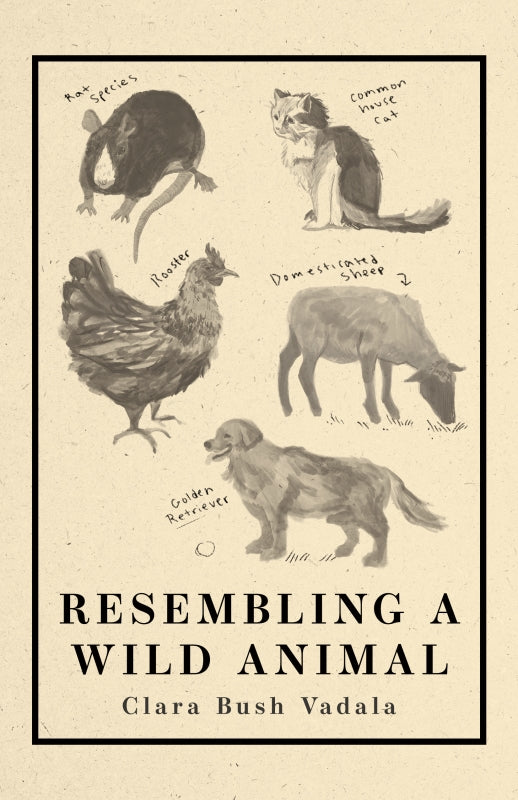 Resembling A Wild Animal Book