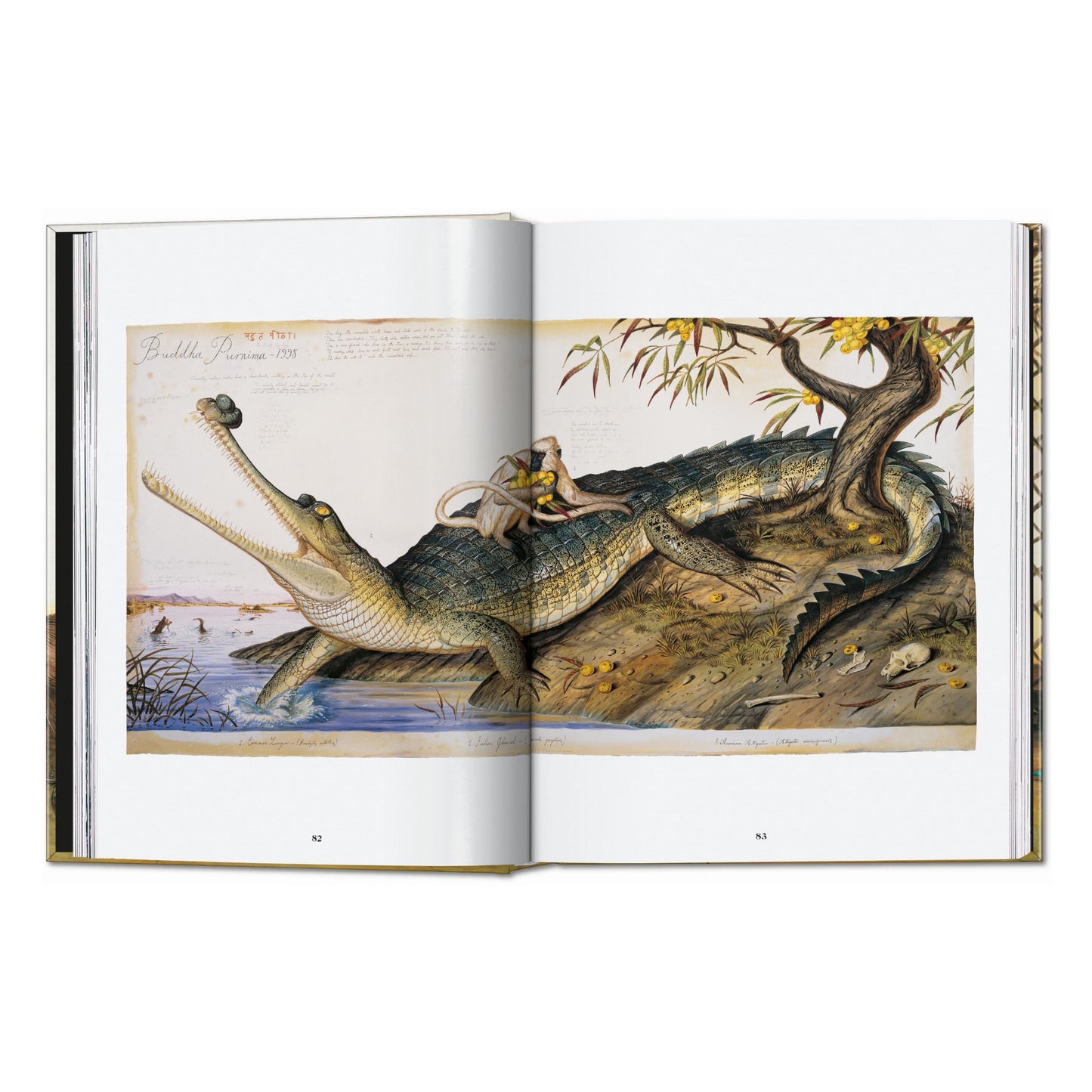 Walton Ford. 40th Ed. (German, French, English) Book