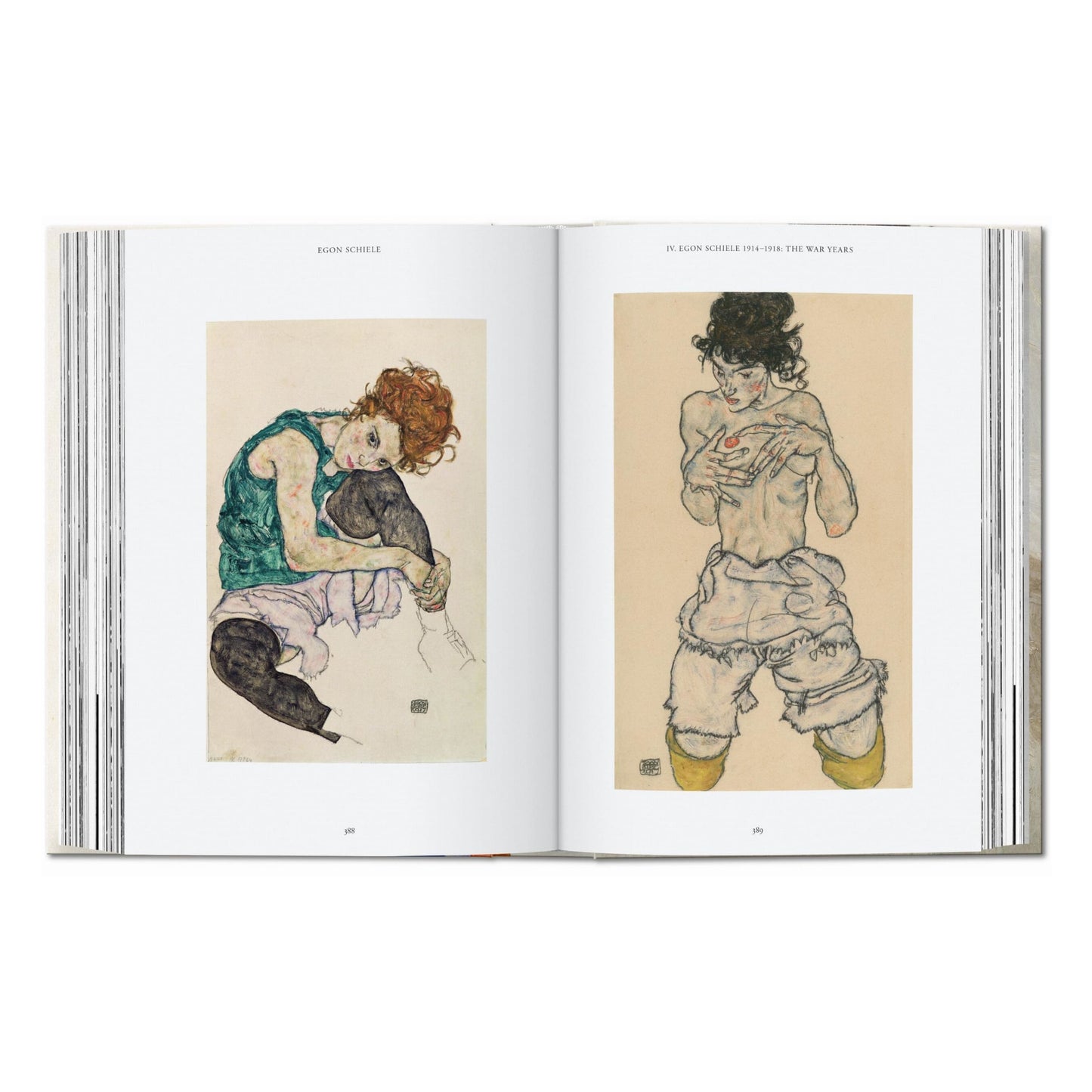 Egon Schiele. The Paintings. 45th Ed. (English) Book