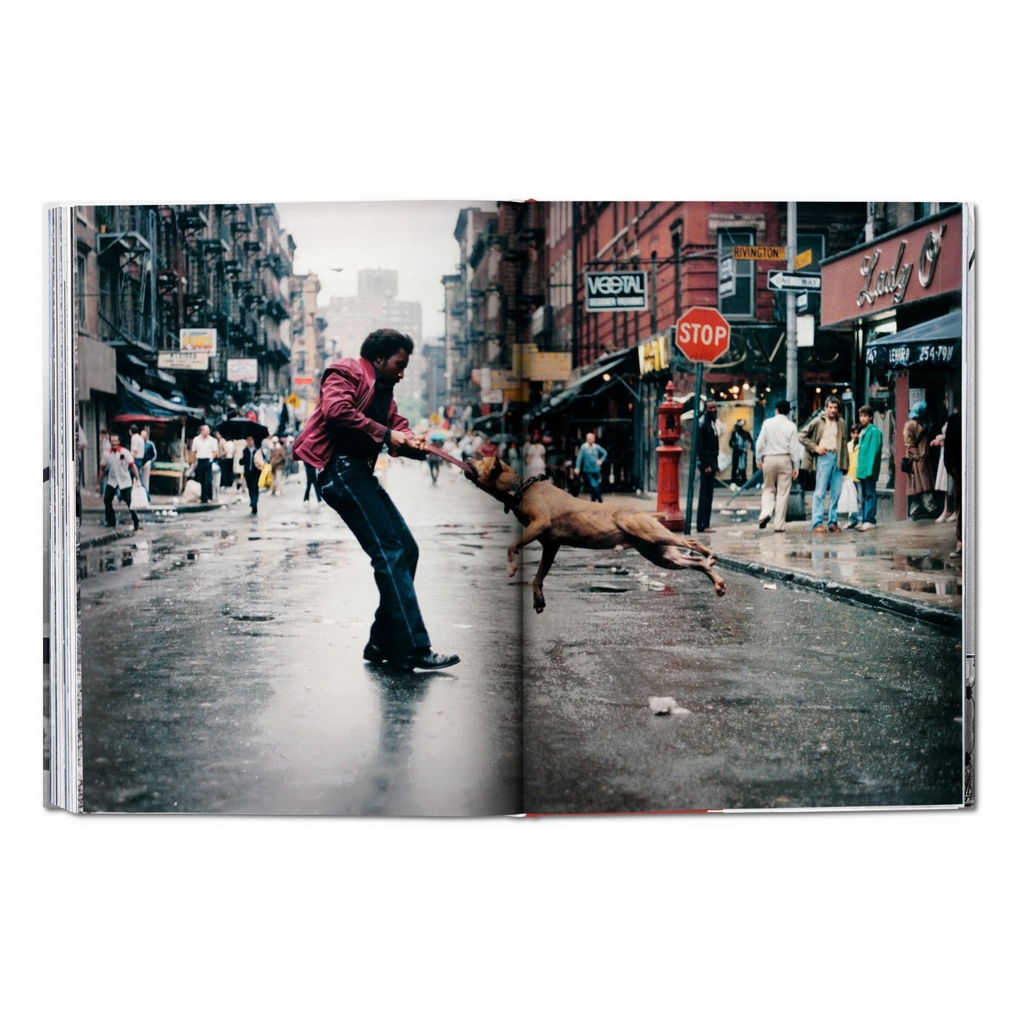New York. Portrait of a City (German, French, English) Book
