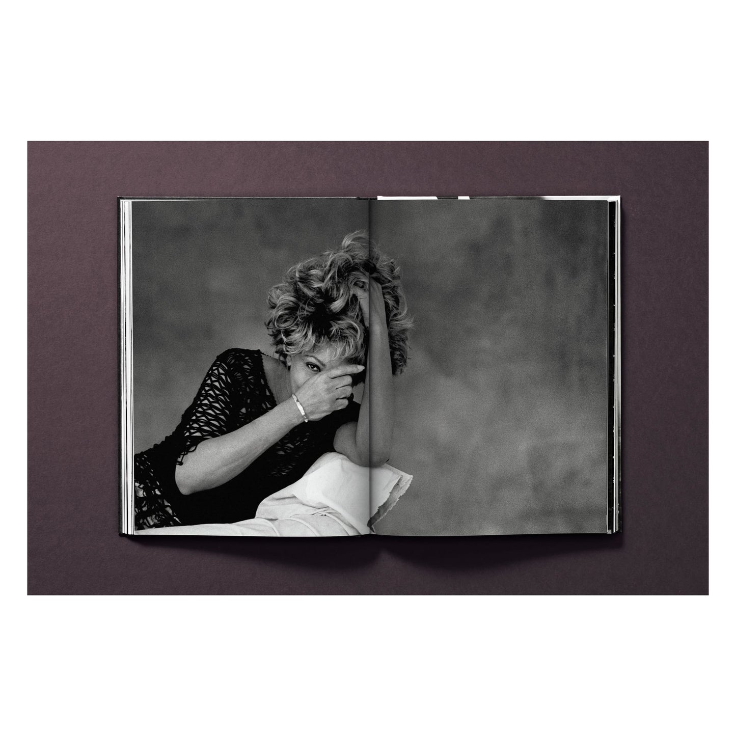 Tina Turner by Peter Lindbergh (German, French, English) Book