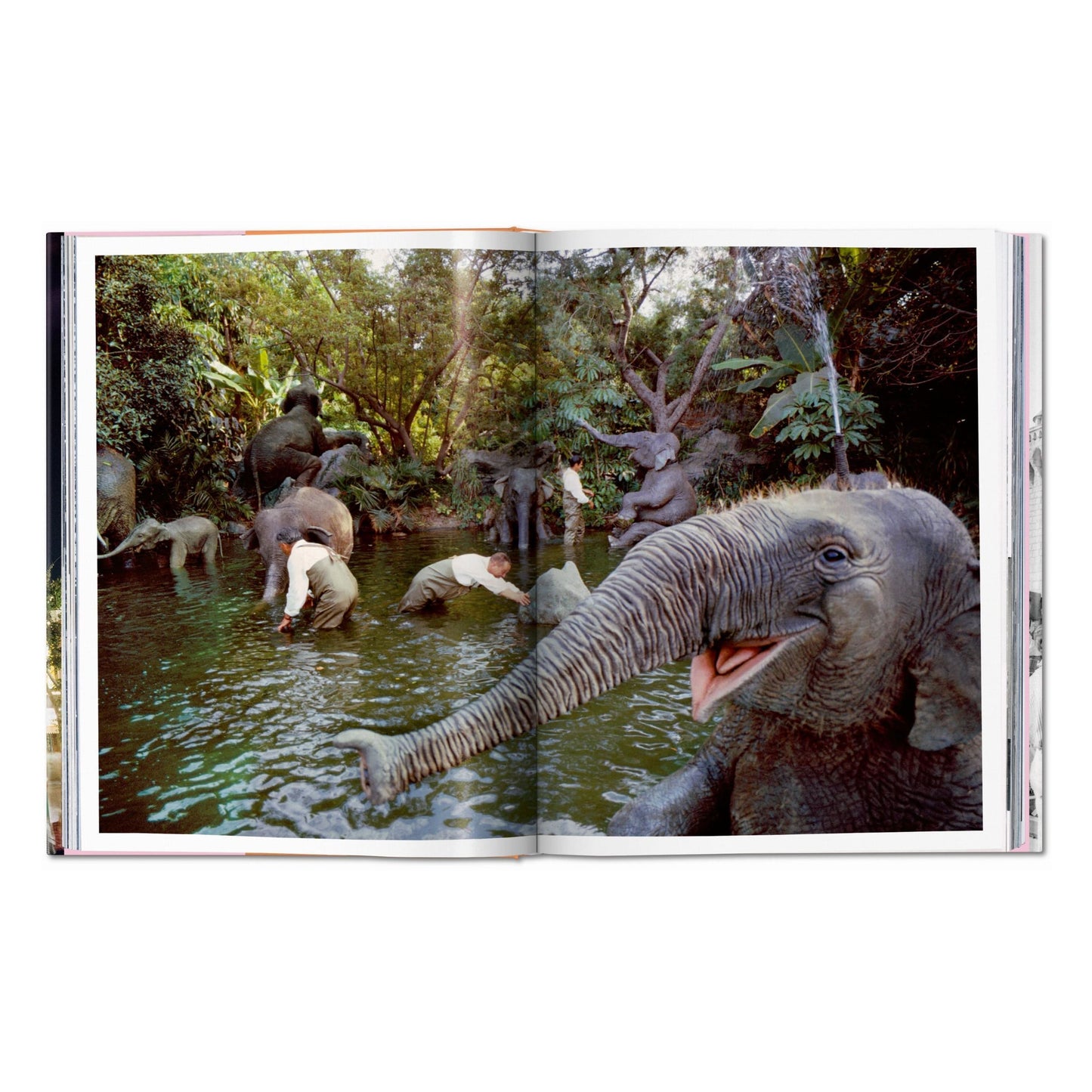 Walt Disney’s Disneyland (English) Book