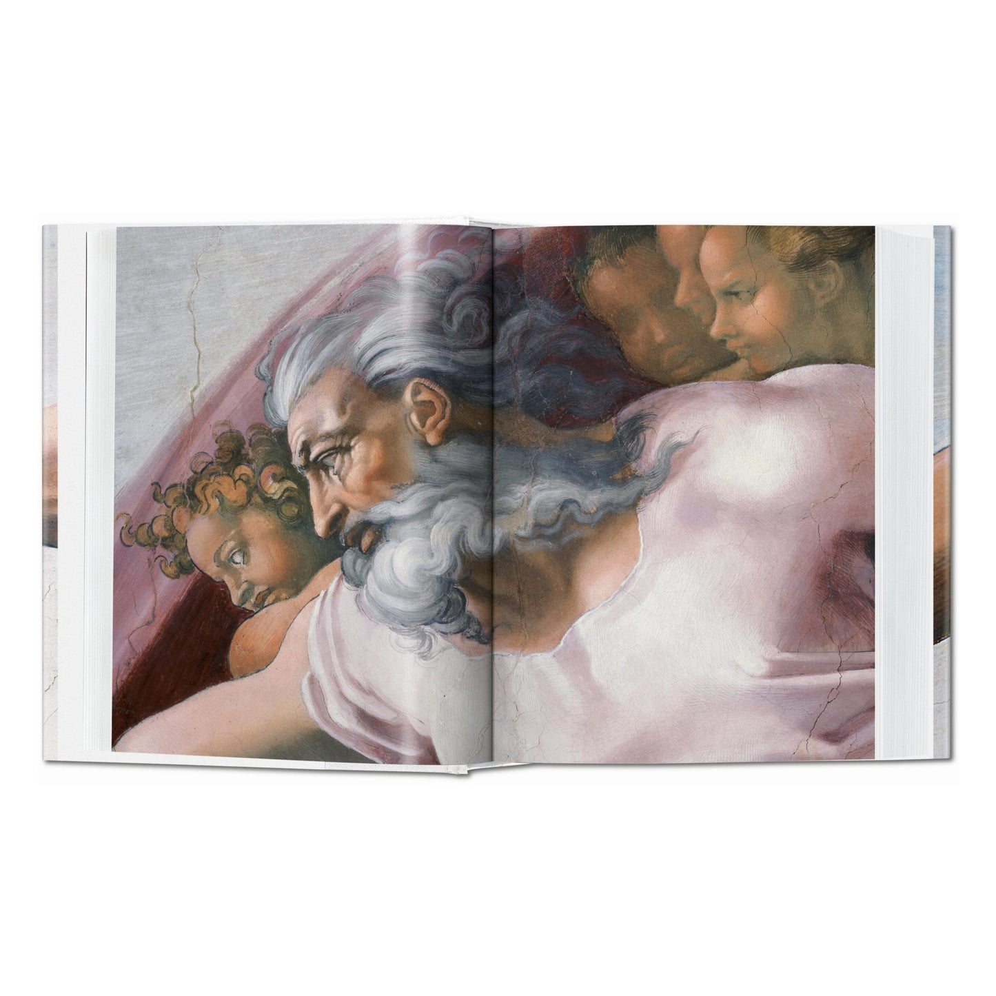 Michelangelo. Paintings, Sculptures and Architecture (English) Book