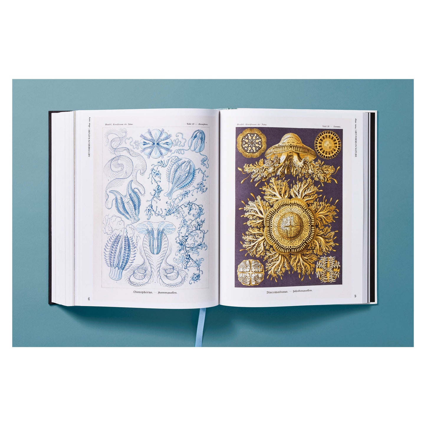 The Art and Science of Ernst Haeckel (German, French, English) Book