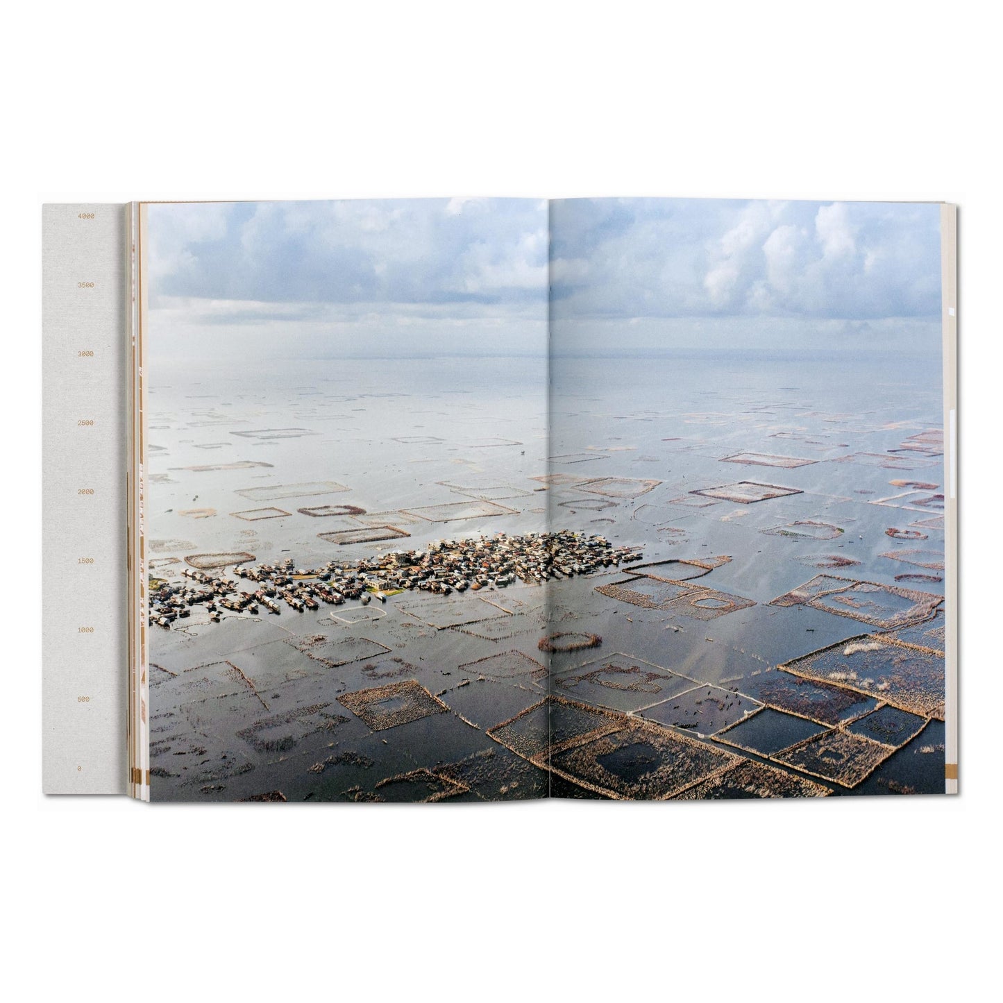 Julia Watson. Lo—TEK. Design by Radical Indigenism (English) Book