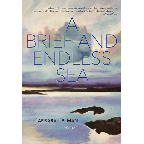 A Brief and Endless Sea
