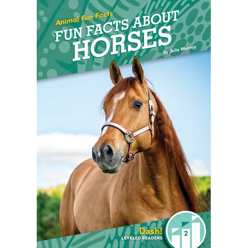 Fun Facts about Horses