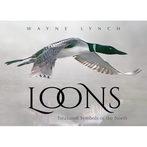 Loons: Treasured Symbols of the North