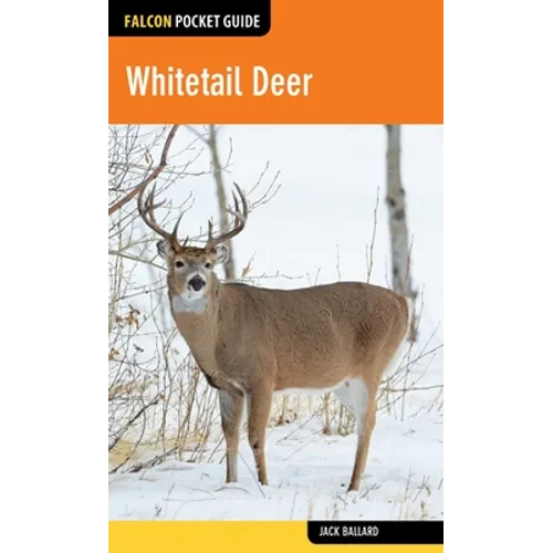 Whitetail Deer