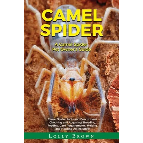 Camel Spider: A Camel Spider Pet Owner's Guide