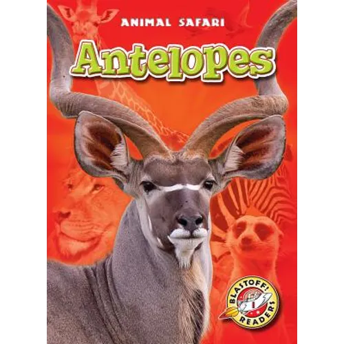 Antelopes