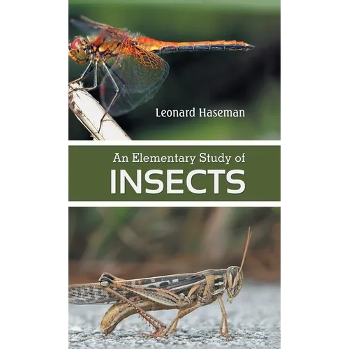 An Elementary Study of insects