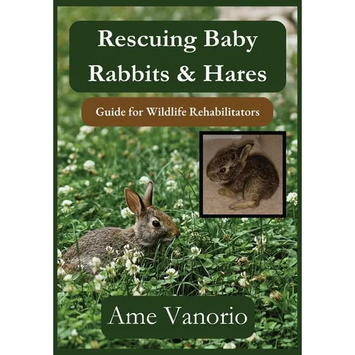 Rescuing Baby Rabbits & Hares: Guide for Wildlife Rehabilitators